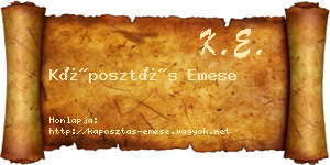 Káposztás Emese névjegykártya